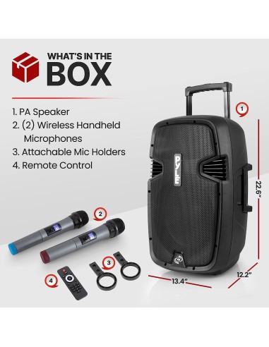 Parlante Pyle Bluetooth con Microfonos 1000 watts