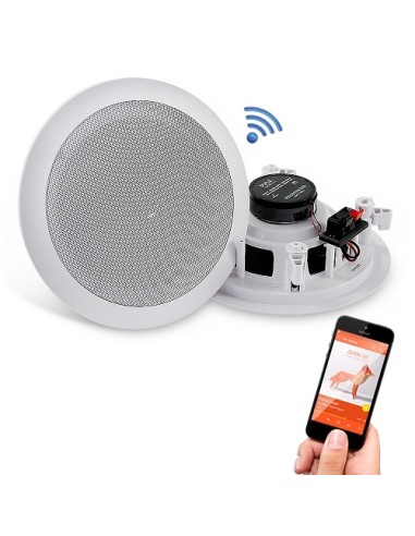 Parlantes de Cielo Amplificados GTI 165mm...