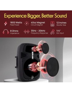 Parlantes Pyle Bluetooth con Microfono 2